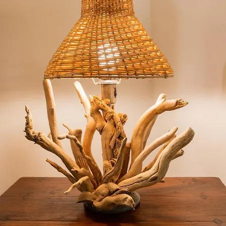 Fiesole's Cozy 2 Διαμέρισμα Φιέζολε