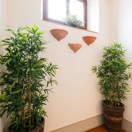 Fiesole's Cozy 2