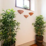 Fiesole's Cozy 2